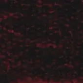 Crimson and black mottled texture with a granular, uneven pattern resembling distressed fabric, featuring a matte finish and diffuse lighting.